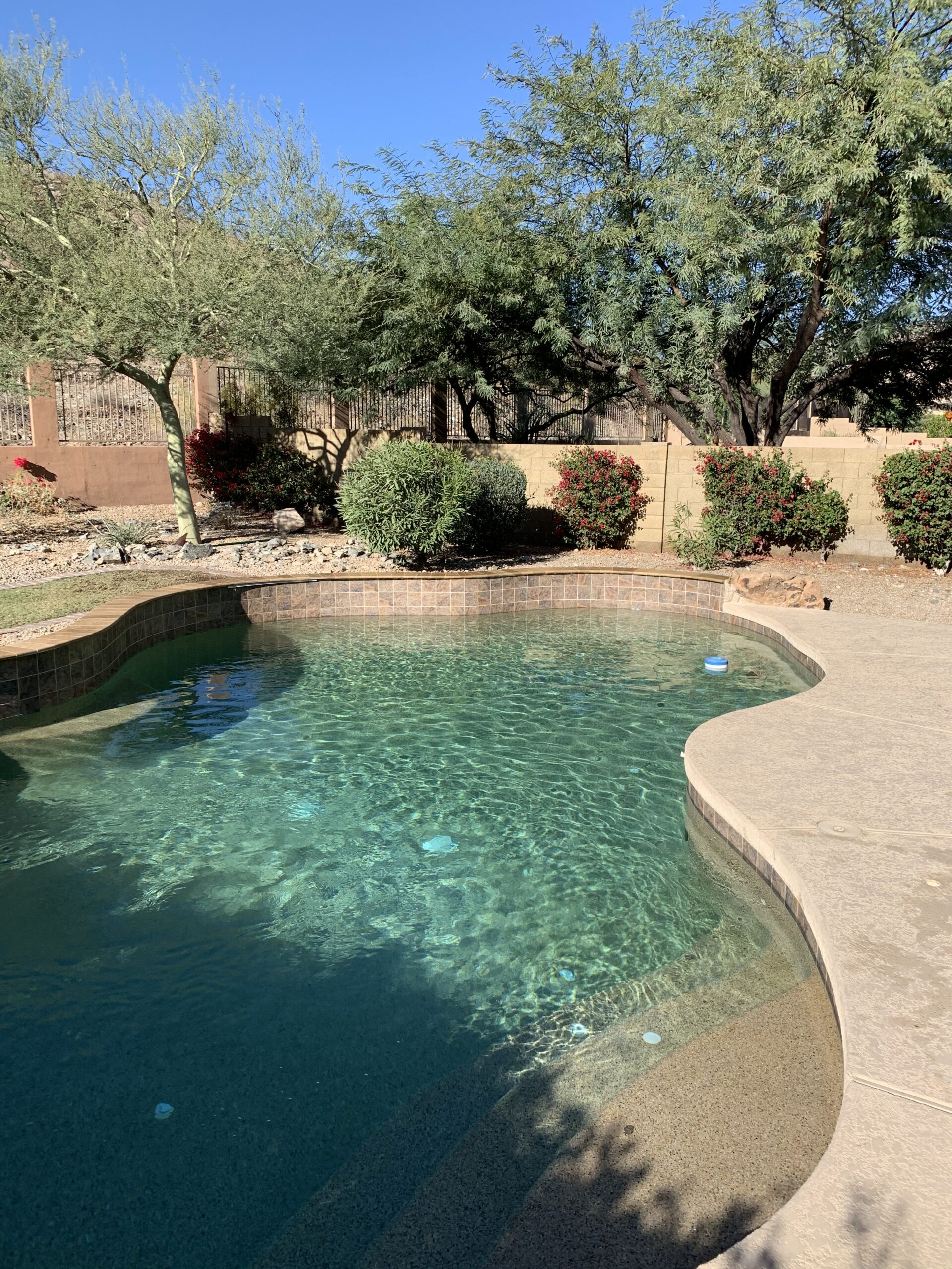 Swimming Pool Contractor & Pool Remodeling Experts Tempe